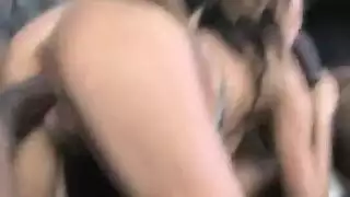 الهرة مشعر الهبي عاري