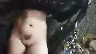 رقص مصرى ساخن يتحول إلى علاقة جنسية صريحة في غرفة النوم