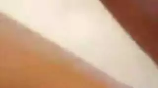 بينيك زميلتة مصرى