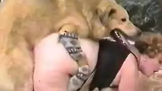 وضعية الكلب الخشنة: نيك شرجي عنيف وضرب كس مبلول بقوة