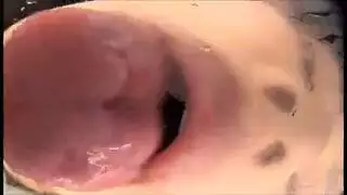 بيكيني، كعب عالٍ، وعطش لقضيب عملاق العاهرة اليابانية تفي بالوعد