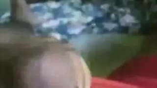 شخ الشرب حمار فاتن