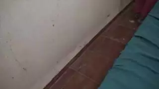 بوف الحمار العبادة