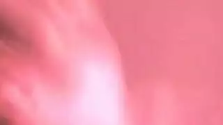 مجموعة صور غير خاضعة للرقابة لشيميل