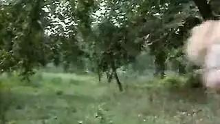 باهت خمر الإيطالي سميك