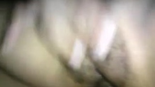 قرود متناكه سكس
